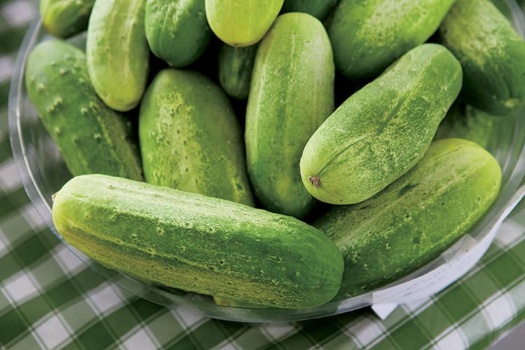 Fresh cucumbers from the market